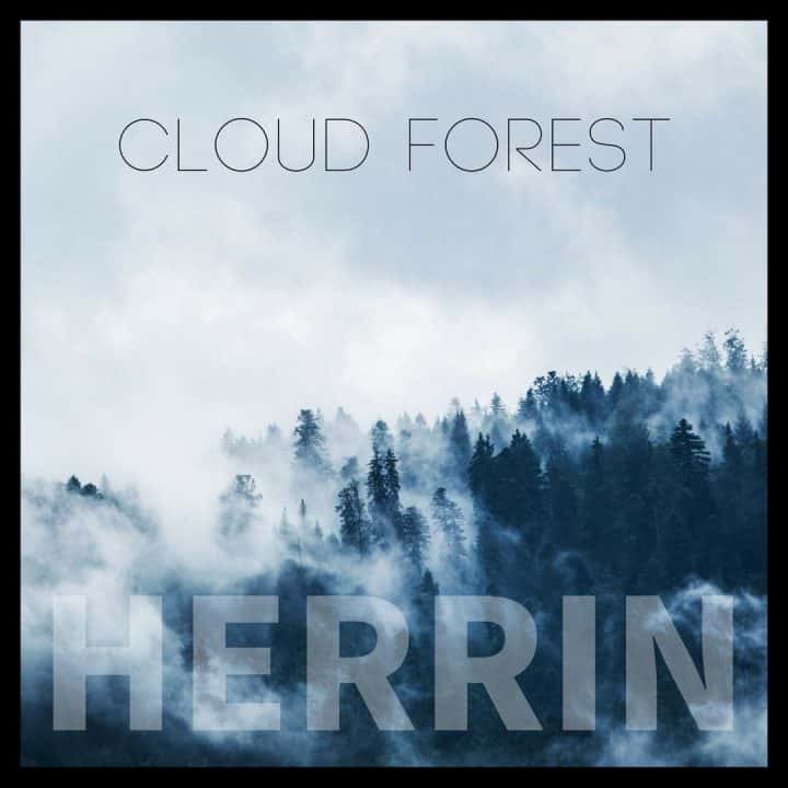Cloud Forest - Macchu Picchu Music Video